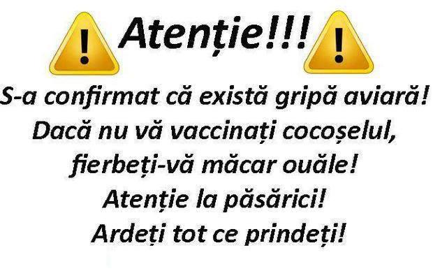 bancuri - 580254609552575722851381085048n.jpg